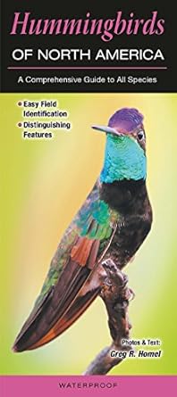 Hummingbirds of North America