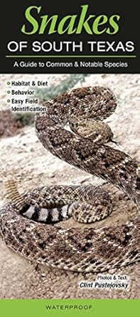 Snakes of South Texas