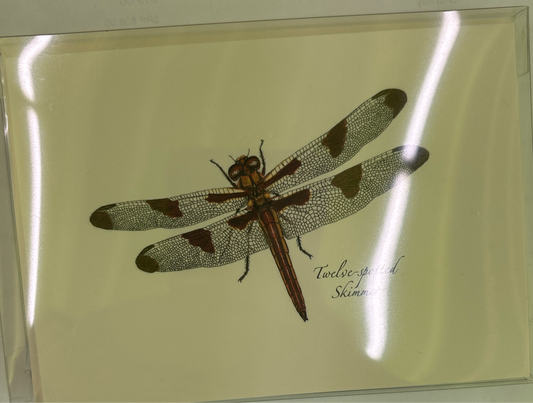 Dragonfly & Damselfly note cards