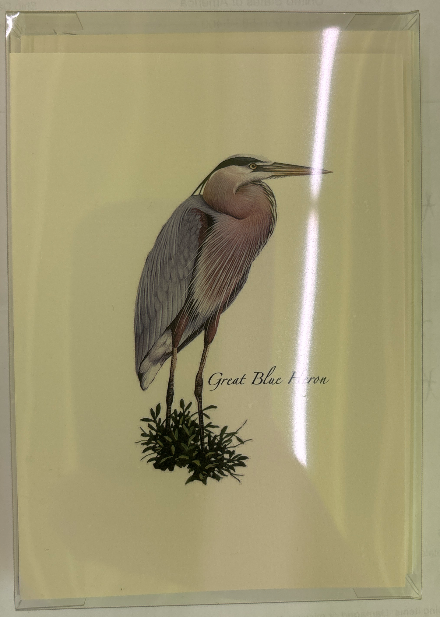 Heron note cards