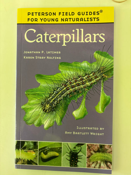 PFG Young Naturalists : Caterpillars