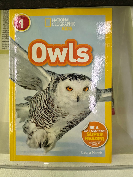 Owls-Nat Geo kids