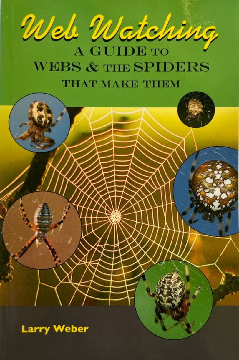 Spider Web Ranking Web Watching: A Guide to Webs & Spiders – National Butterfly Center