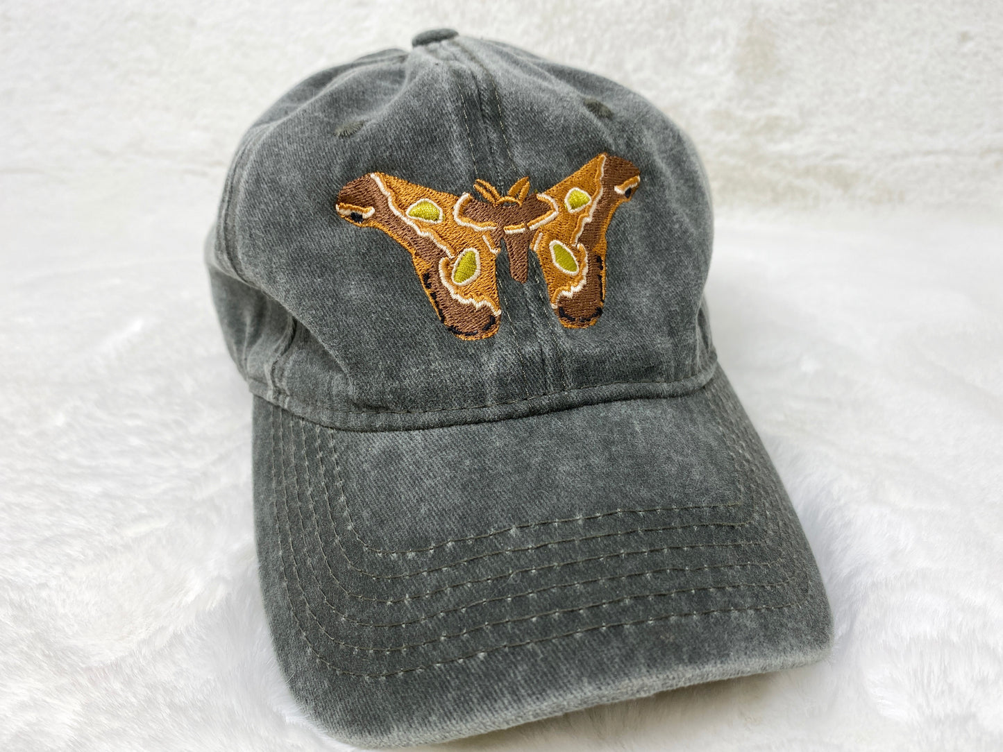 Forbes Silk Moth Cap