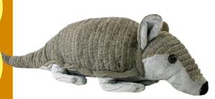 Discovery Armadillo 12"