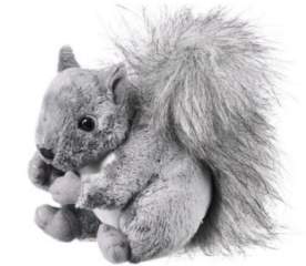 Gray Squirrel 6"