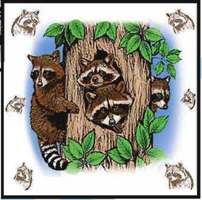 Magic T-Shirt Racoons Adult