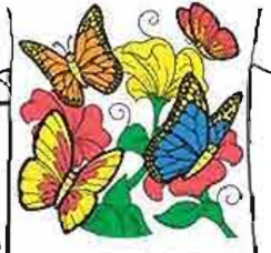 Magic T-Shirts Butterflies and Flowers Youth