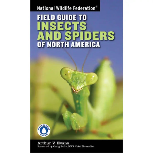 Field Guide to Insects and Spiders of North America