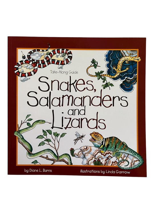 Snakes, Salamanders and Lizards