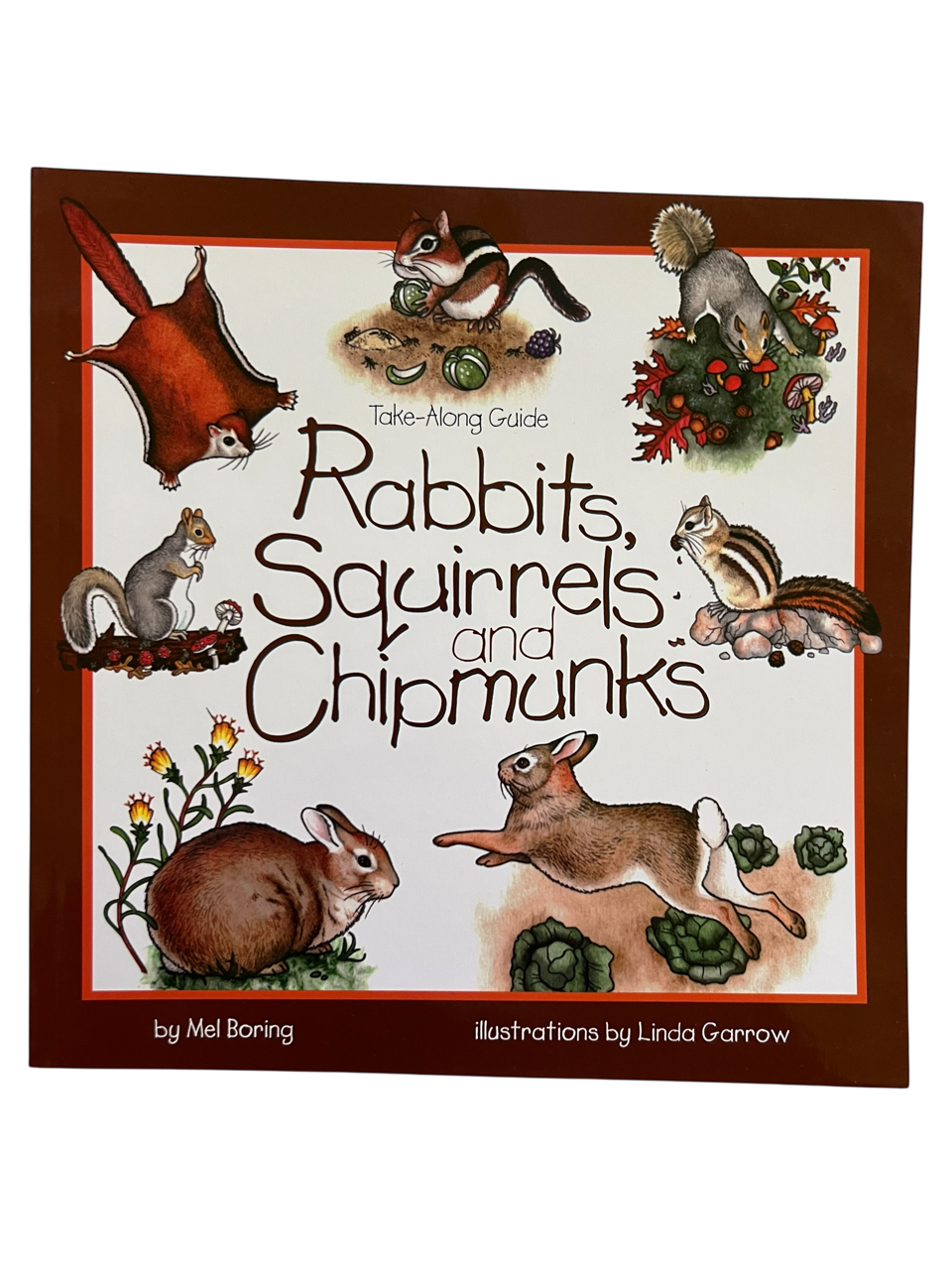 Rabbits, Squirrels and chipmunks