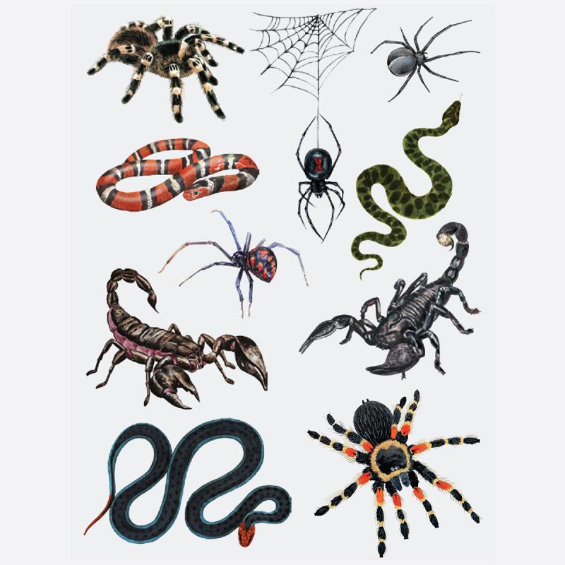 Temporary Tattoos by Nature Planet